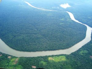 Der Amazonasfluss schlängelt sich durch ein riesiges Waldgebiet. (Quelle: Jorge.kike.medina-wikimediacommons)