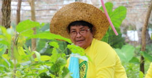 Eine philippinische Frau in ihrem Gemüsegarten. (Quelle: Alexej Getman) Eine philippinische Frau in ihrem Gemüsegarten. (Quelle: Alexej Getman)