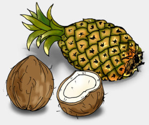 Ananas und Kokosnuss, Illustration (Quelle: Angela Richter)